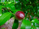 20090821msg075.jpg