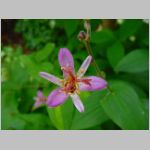 20090819msg011.jpg