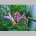 20090819msg017.jpg