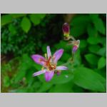 20090819msg041.jpg