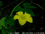 20090825msg083.jpg