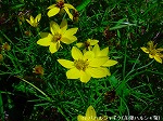 20090907m5s011.jpg
