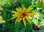 20090907m5s017.jpg