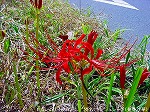 20090907m5s024.jpg