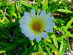 20090907m5s025.jpg