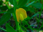 20090907m5s034.jpg