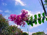 20090907m5s066.jpg