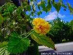 20090907m5s107.jpg