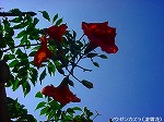 20090914mkh009.jpg