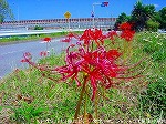 20090914mkh021.jpg