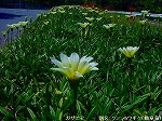 20090914mkh024.jpg
