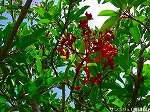 20090914mkh062.jpg