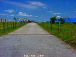 20090914mkh078.jpg