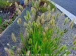 20090914mkh080.jpg