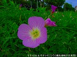 20090914mkh110.jpg