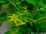 20090914mkh119.jpg