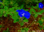 20090914mkh124.jpg