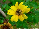 20090914mkh126.jpg