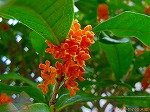 20091014msg028.jpg