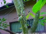 20091014msg030.jpg