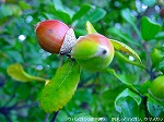 20091014msg047.jpg