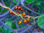 20091014msg053.jpg