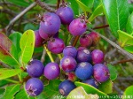 20091014msg054.jpg