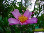 20091014msg057.jpg