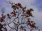 20091014msg066.jpg