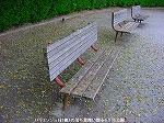 20091014msg073.jpg
