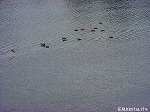 20091014msg094.jpg