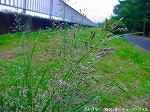 20091014msg098.jpg