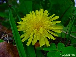 20091014msg108.jpg