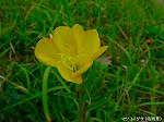 20091014msg110.jpg
