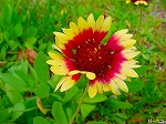 20091014msg111.jpg
