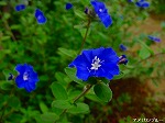 20091014msg125.jpg