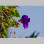 20091018hbkr016.jpg