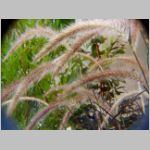 20091018hbkr023.jpg