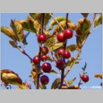 20091018hbkr039.jpg