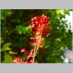 20091018hbkr043.jpg