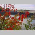 20091109msg015.jpg