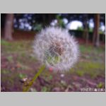 20091109msg031.jpg