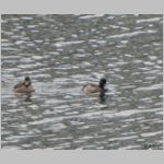 20091214msg046.jpg