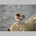 20091214msg091.jpg