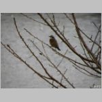 20091214msg151.jpg
